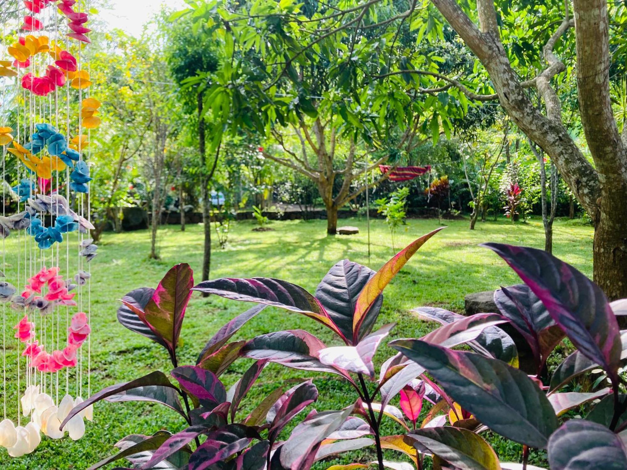 Suncity Privacy Cottages Удавалаве Екстер'єр фото